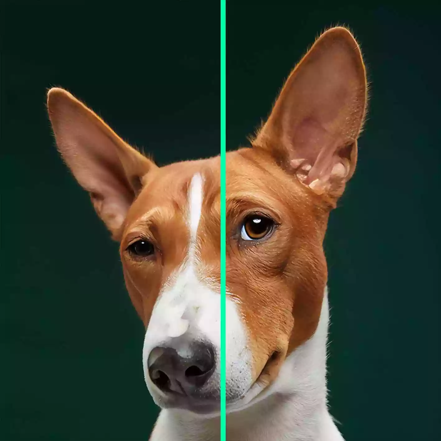 Restaurar foto antigua, corregir arañazos, mejorar colores desvanecidos, hacer más nítidos los rostros, reducir grano, conservar detalles vintage.