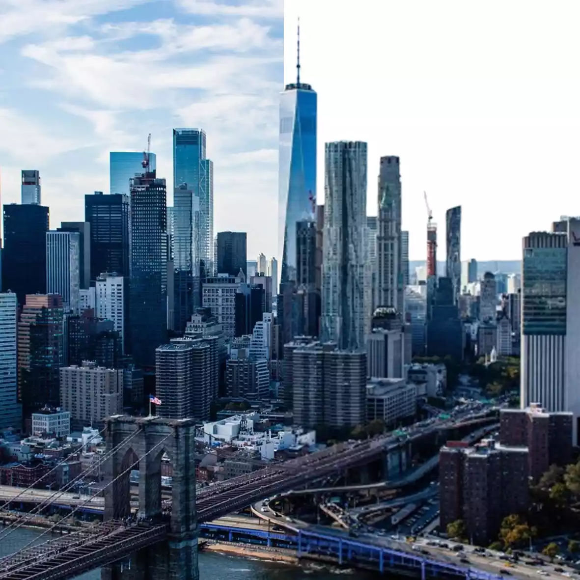 Complex subject with fine hair and fur details, perfectly isolated from background.
